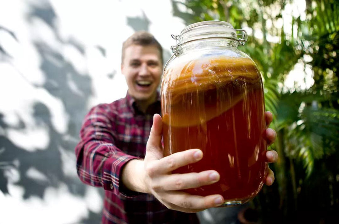 Kombucha Fermentation Mystery 2022