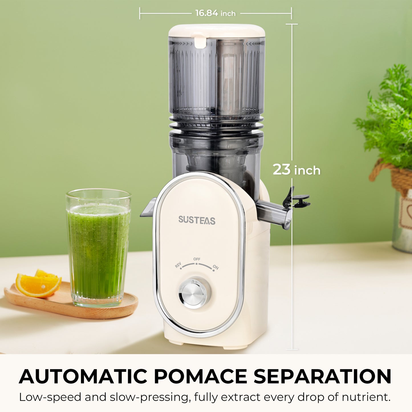 SUSTEAS Cold Press Juicer, Slow Masticating Juice Extractor, Easy to Clean(White)
