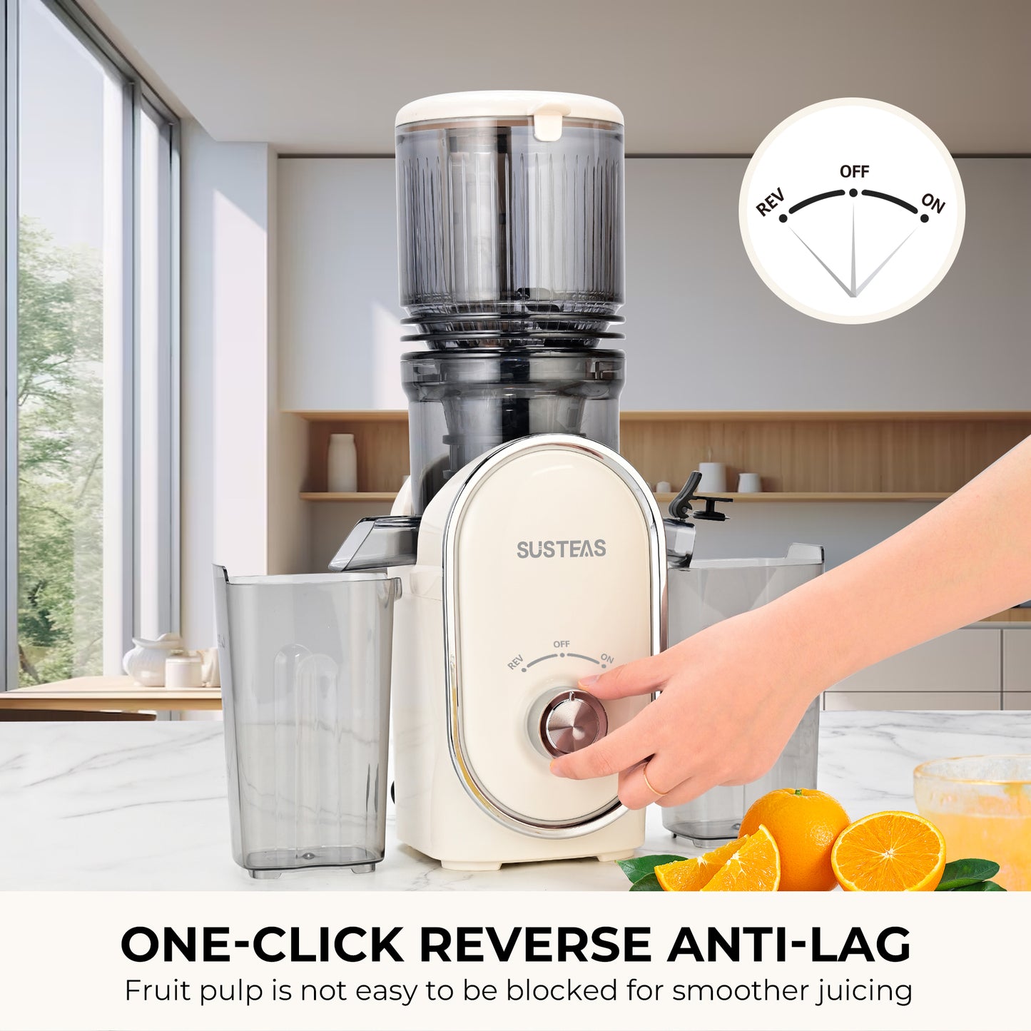 SUSTEAS Cold Press Juicer, Slow Masticating Juice Extractor, Easy to Clean(White)