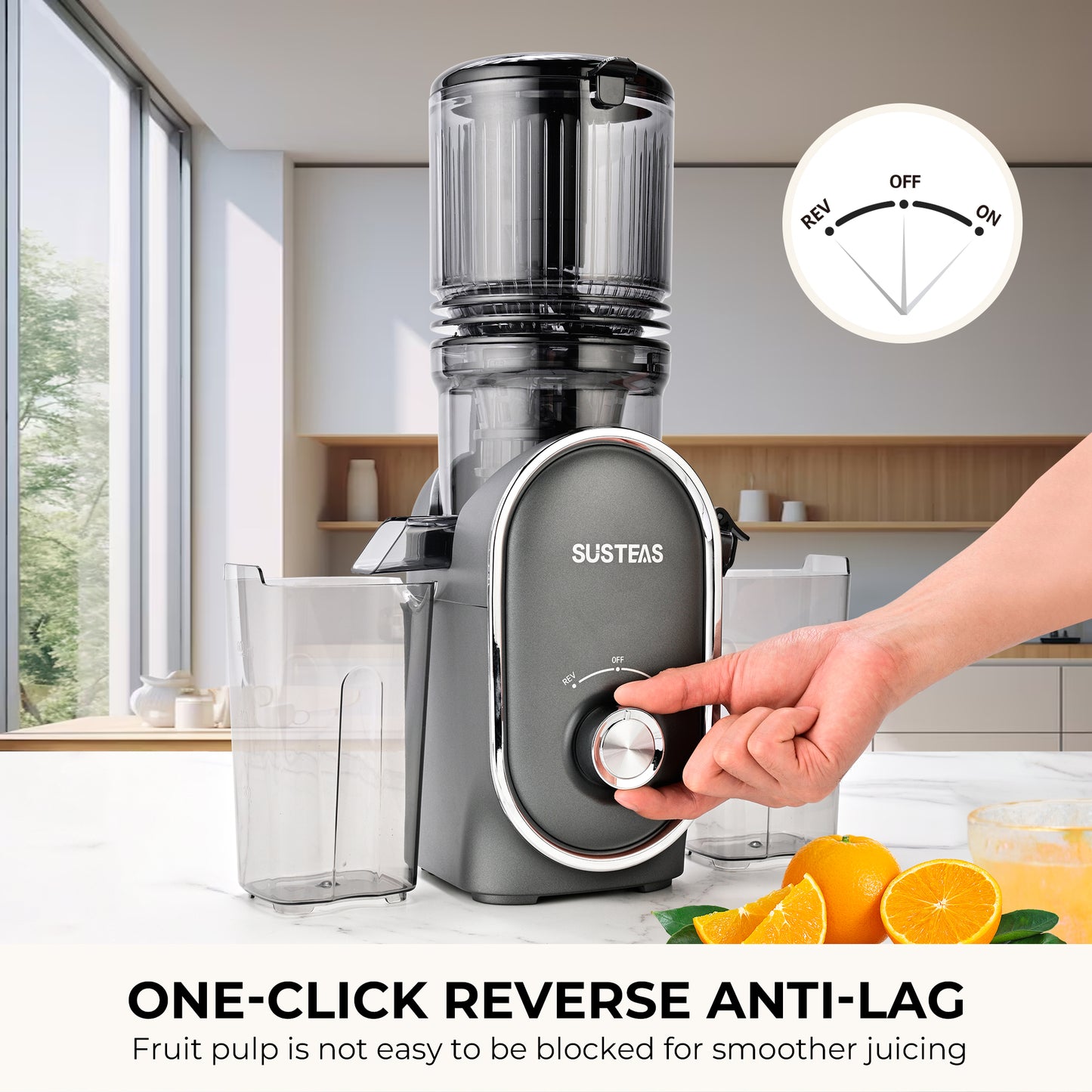 SUSTEAS Cold Press Juicer, Slow Masticating Juice Extractor, Easy to Clean (Dark Gray)