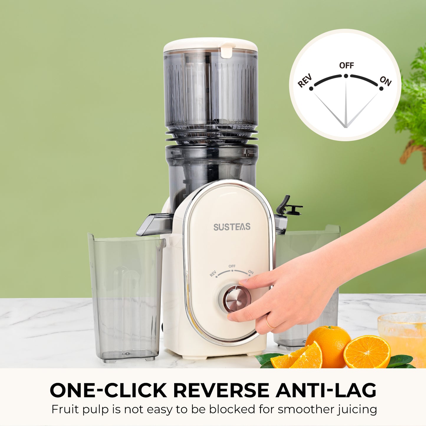 SUSTEAS Cold Press Juicer, Slow Masticating Juice Extractor, Easy to Clean(White)