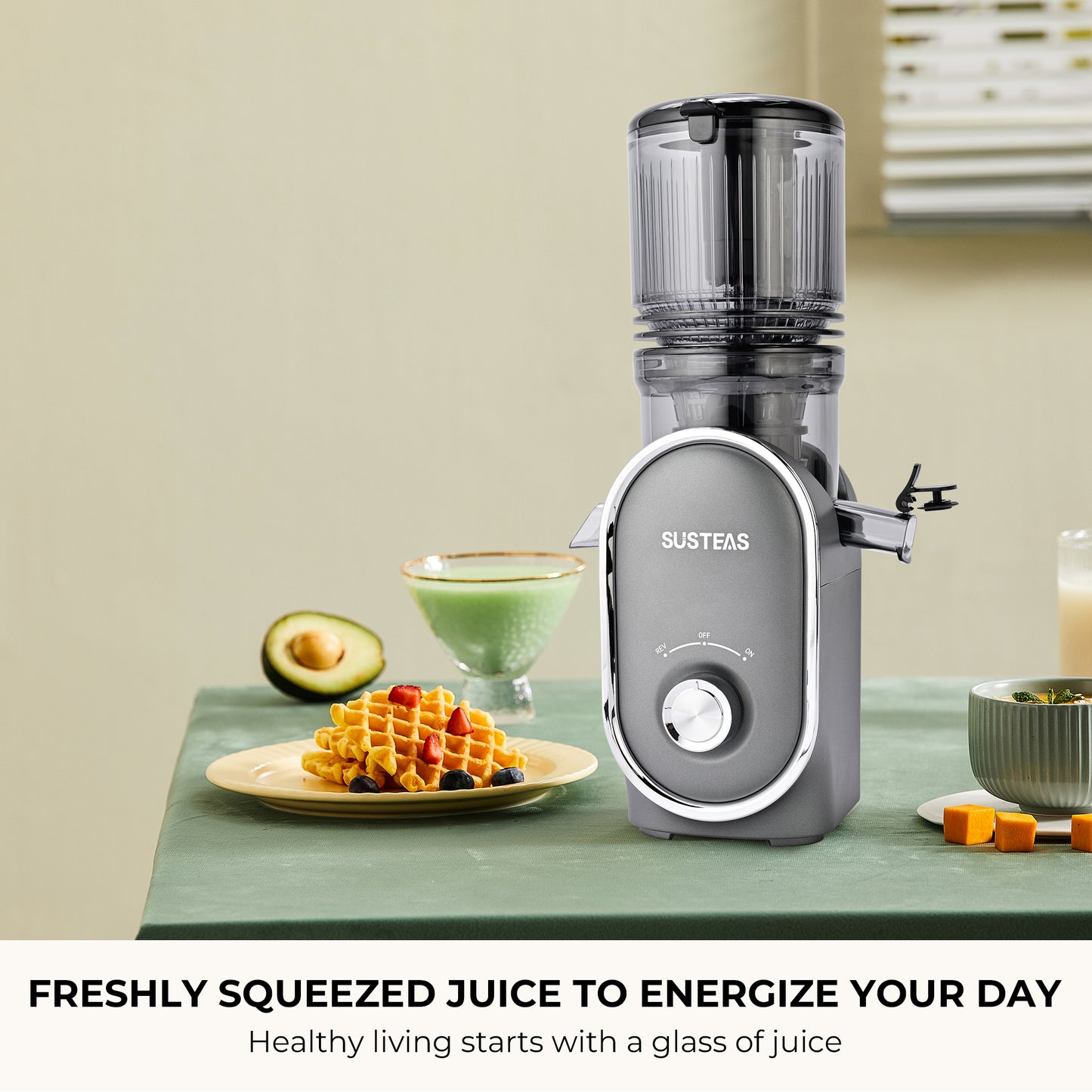 SUSTEAS Cold Press Juicer, Slow Masticating Juice Extractor, Easy to Clean (Dark Gray)
