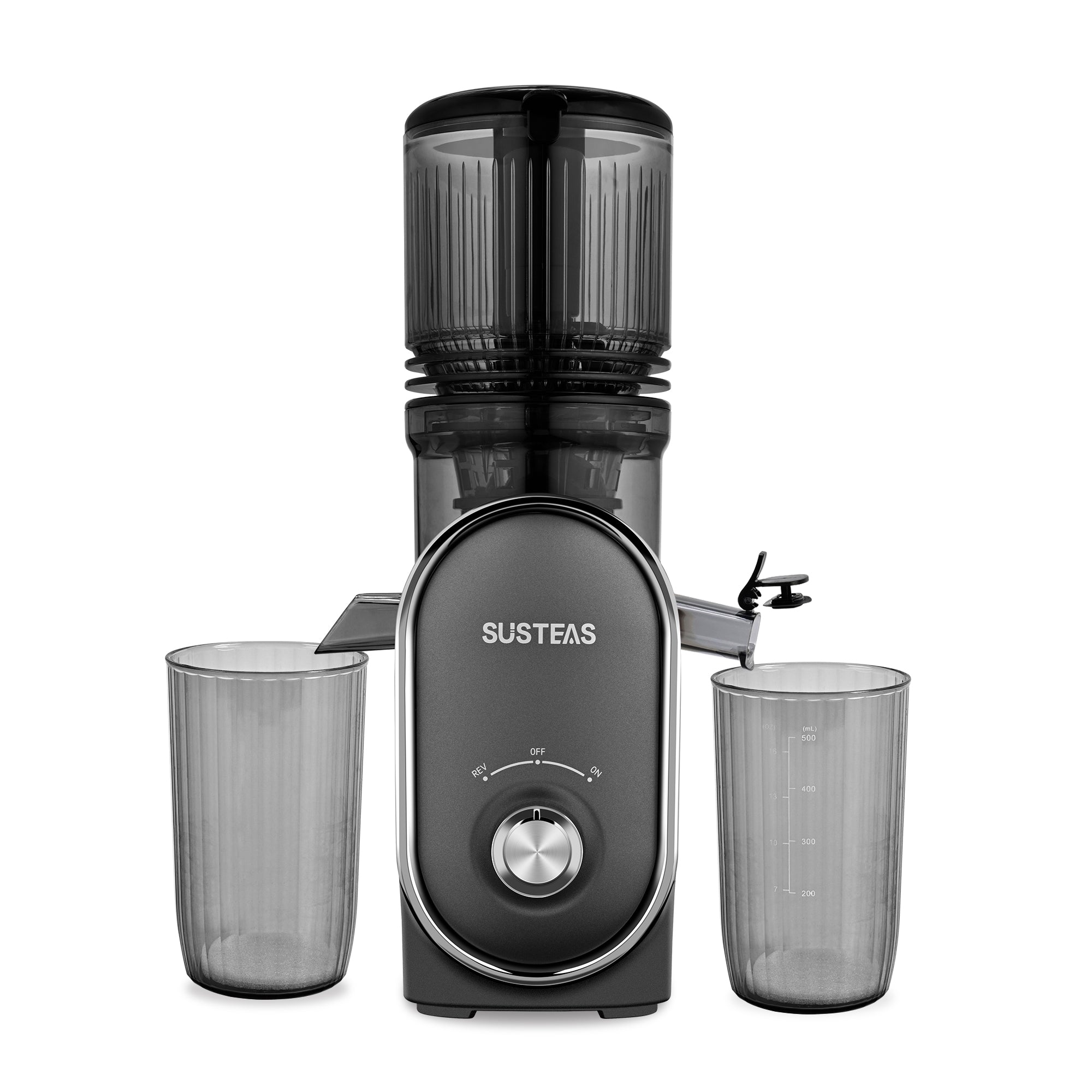 Cold Press Juicer Slow Masticating for Orange Fruits Vegetables
