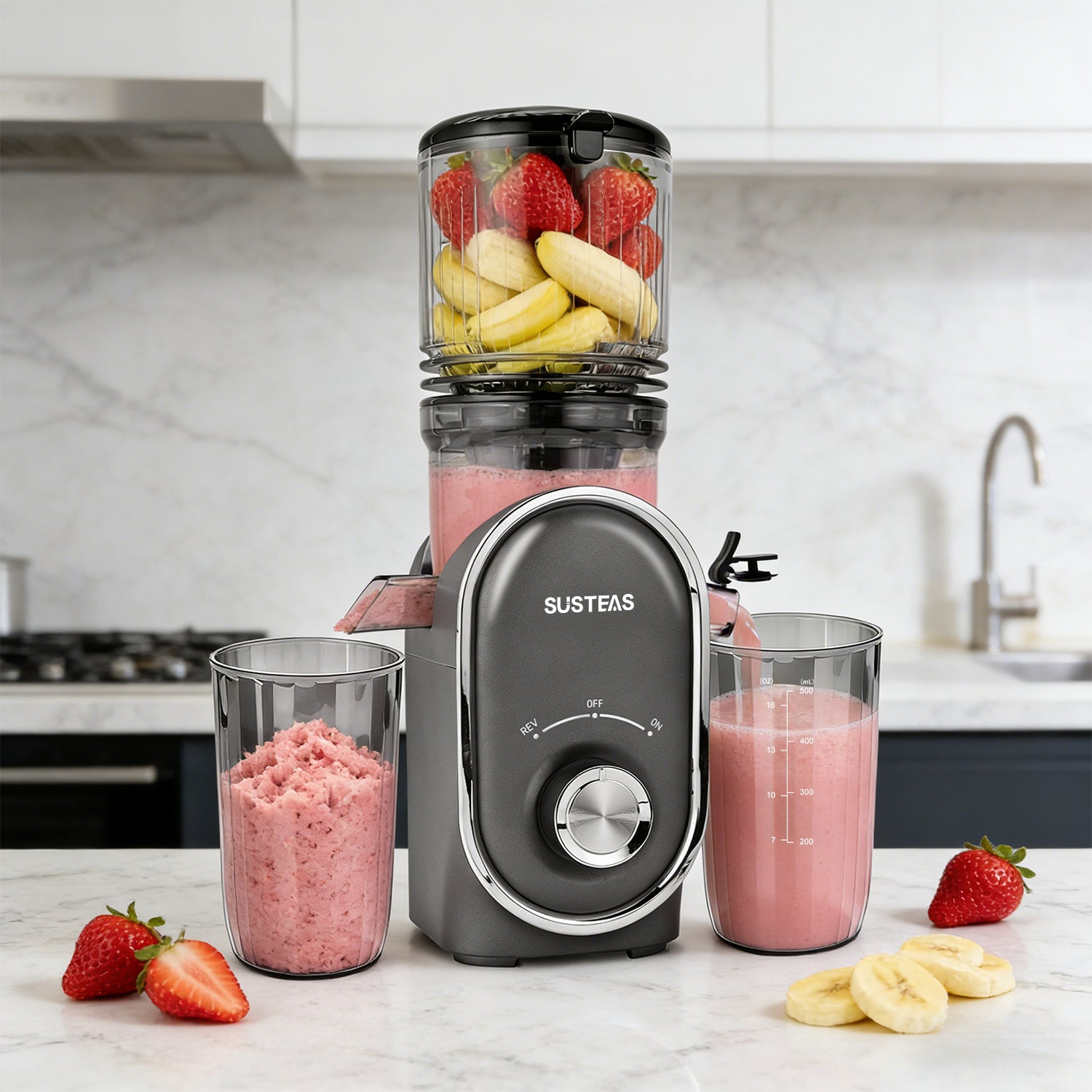 Fruit Juicer for home, Dark Gray