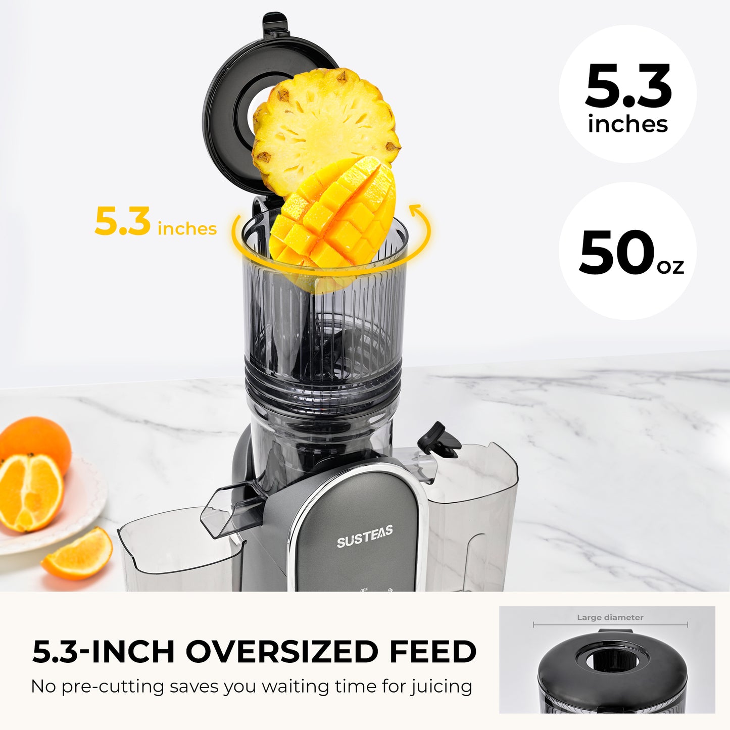 SUSTEAS Cold Press Juicer, Large Inlet, Slow Masticator, High Yield Juice Extractor - Easy to Clean (Dark Gray)