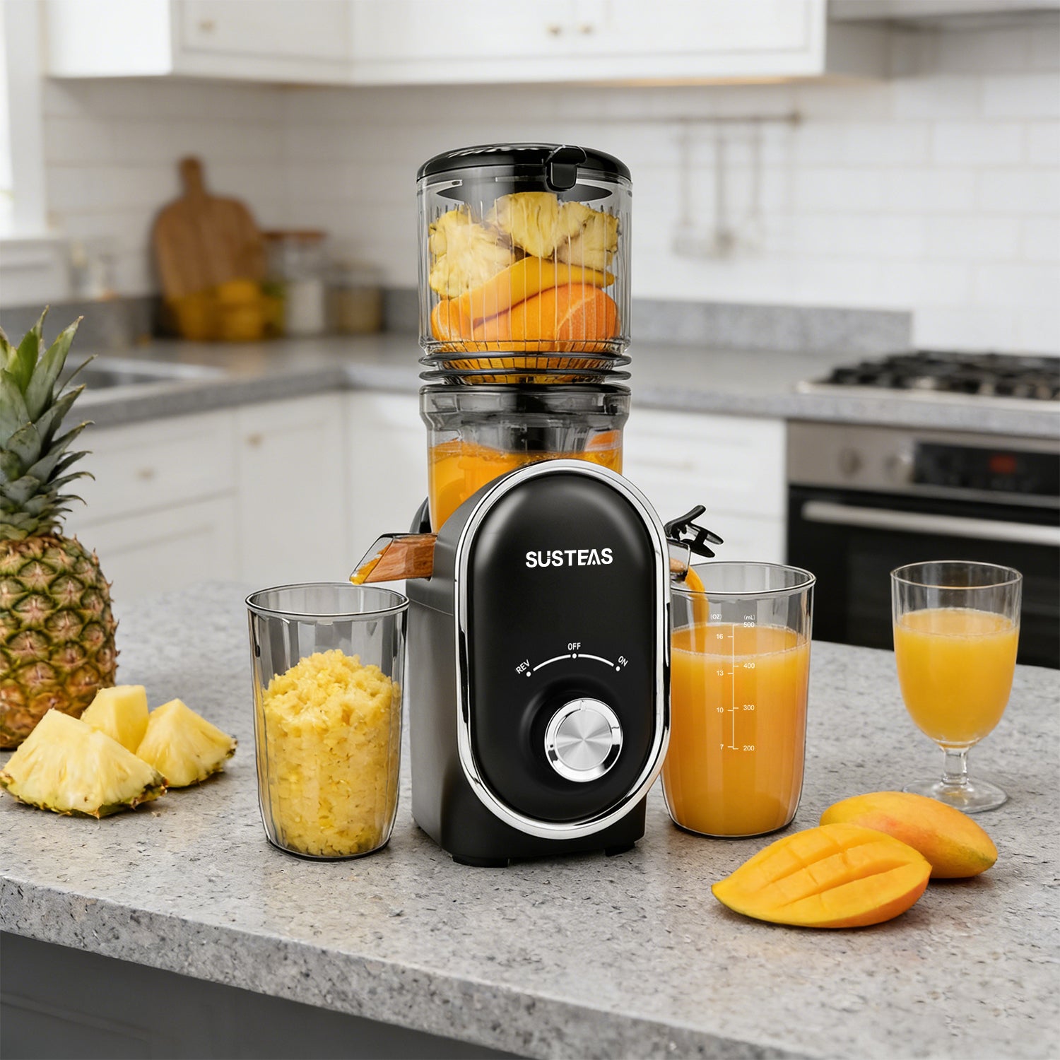 SUSTEAS Cold Press Juicer, Dark Gray