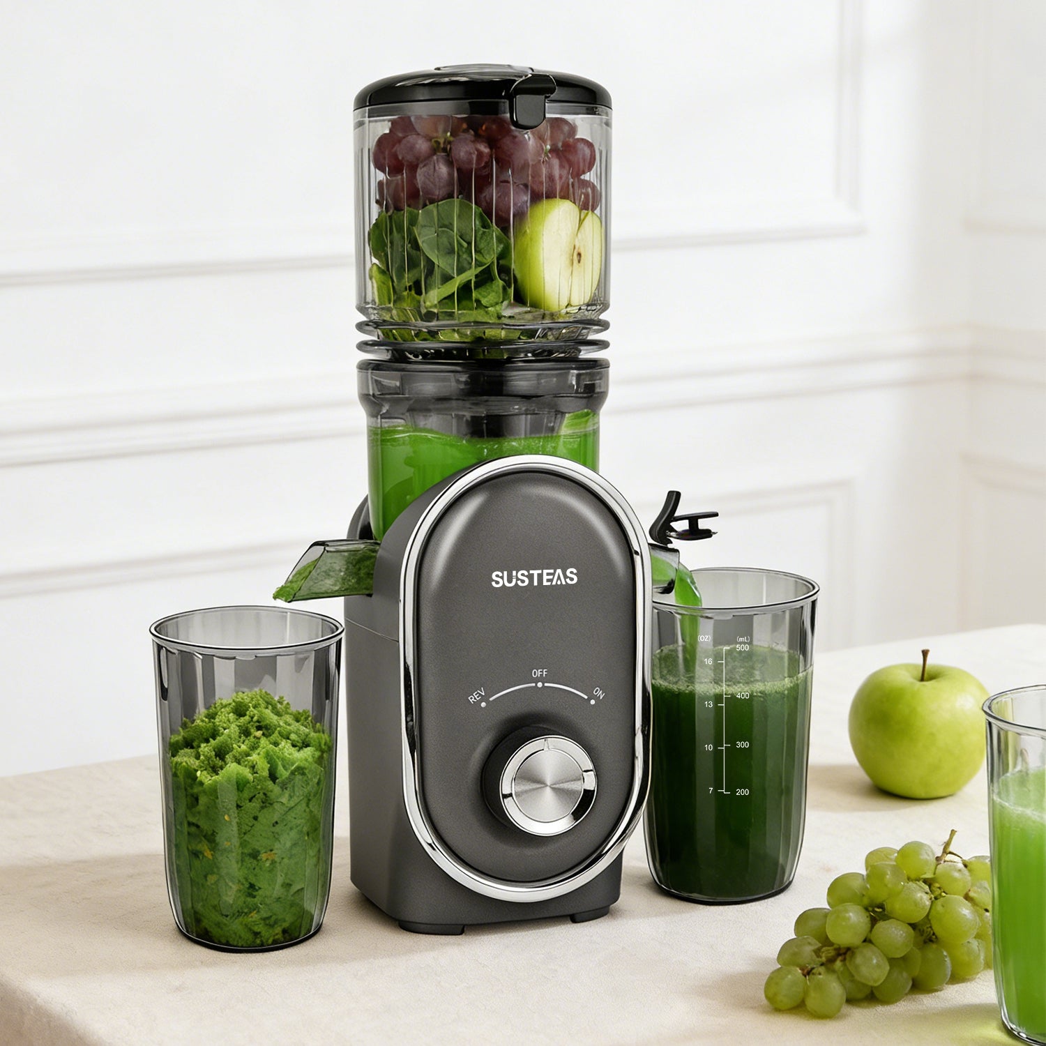 Affordable Juicer for home use, White – SUSTEAS