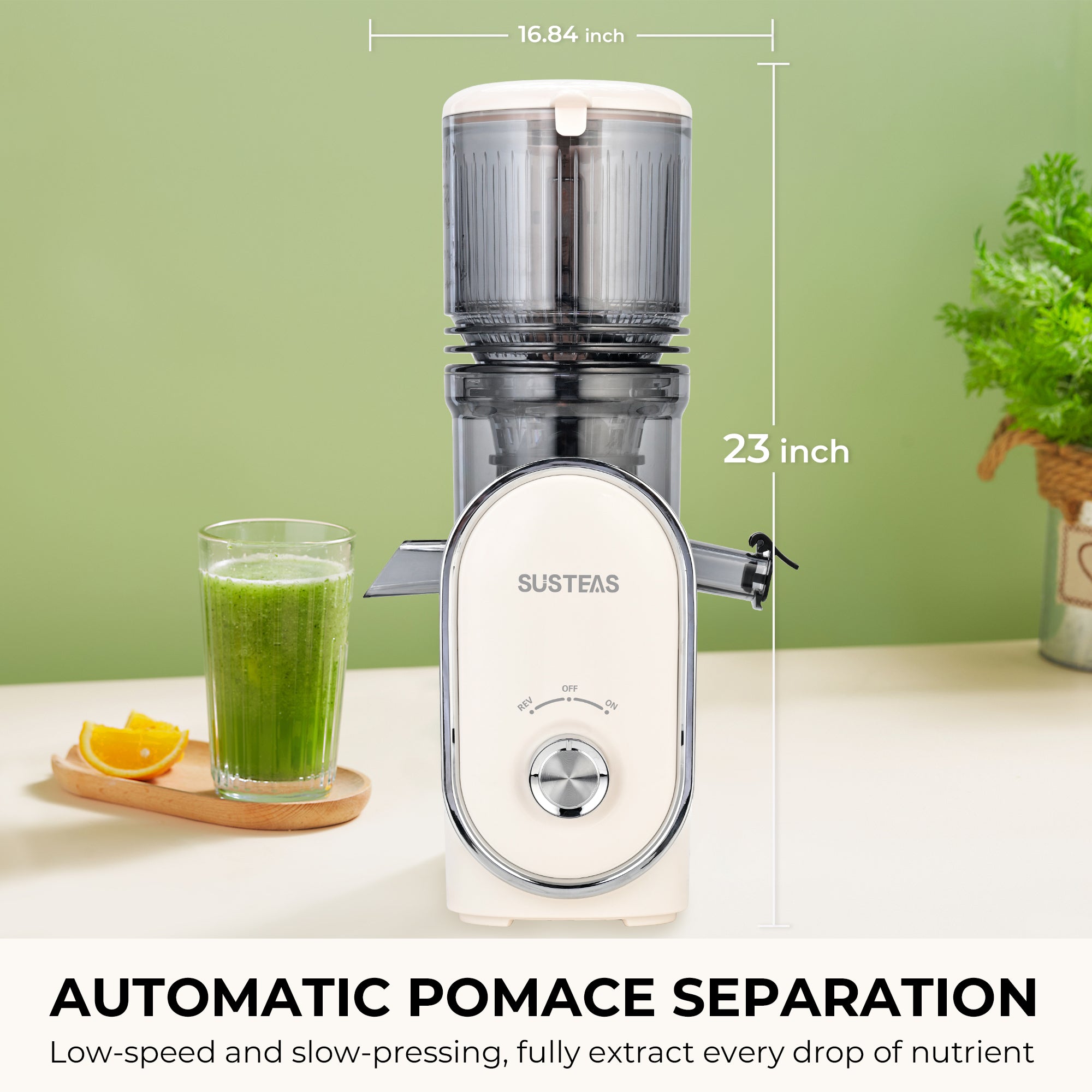 Home Essentials: Fruit Juicer &  Ice Cream Machine for Home Use