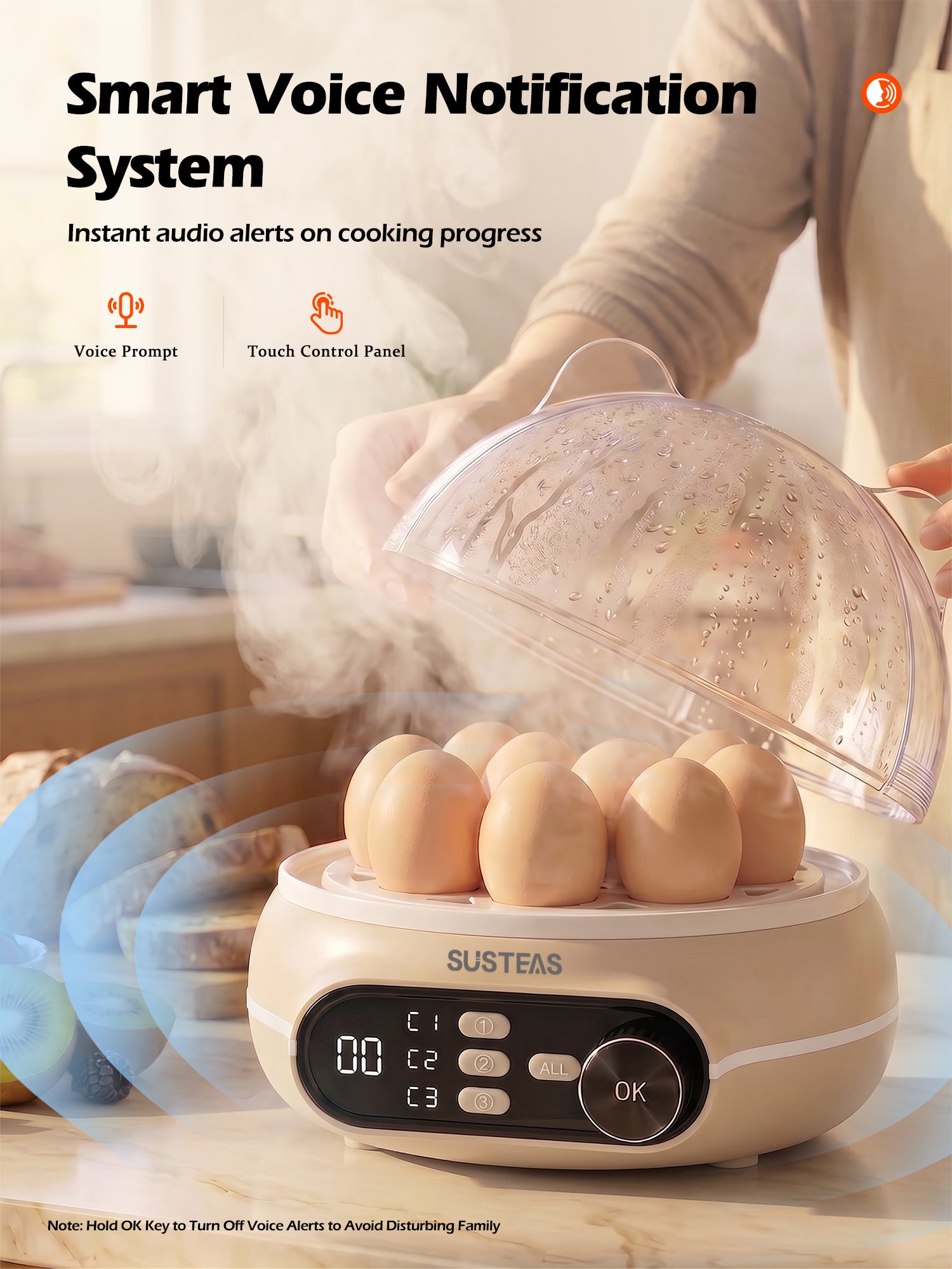 Rapid Egg Cooker 9 Eggs Capacity, Soft, Medium, Hard Boiled Egg Cooker ZD7000