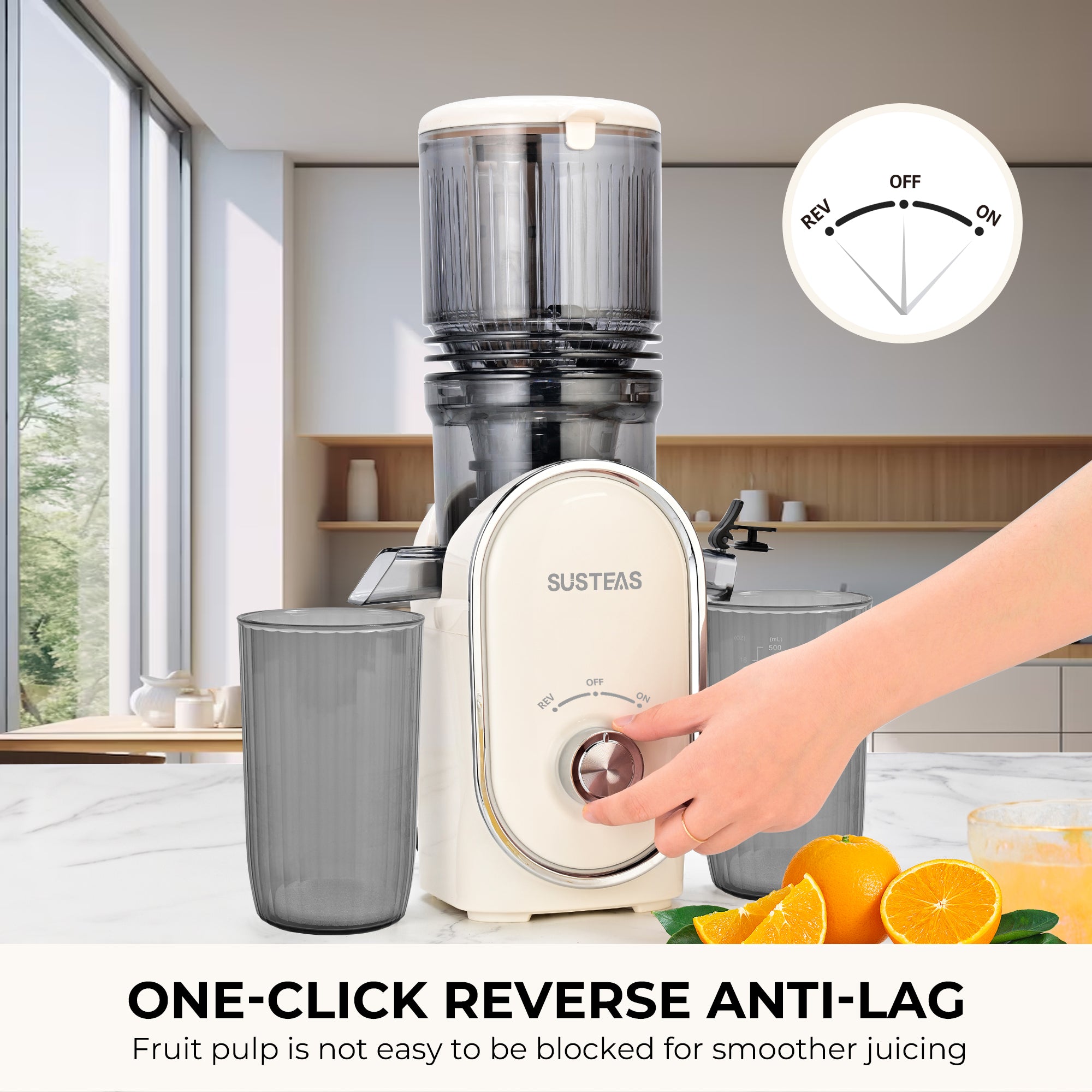 Home Essentials: Fruit Juicer &  Ice Cream Machine for Home Use