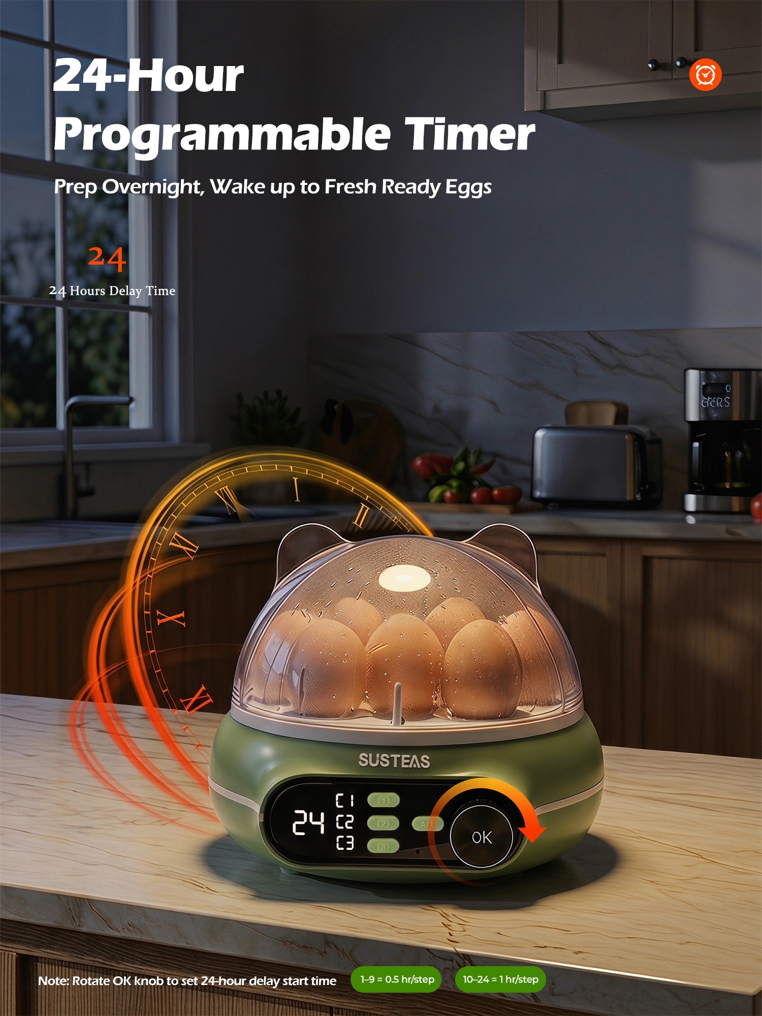 Rapid Egg Cooker 9 Eggs Capacity, Soft, Medium, Hard Boiled Egg Cooker ZD7000