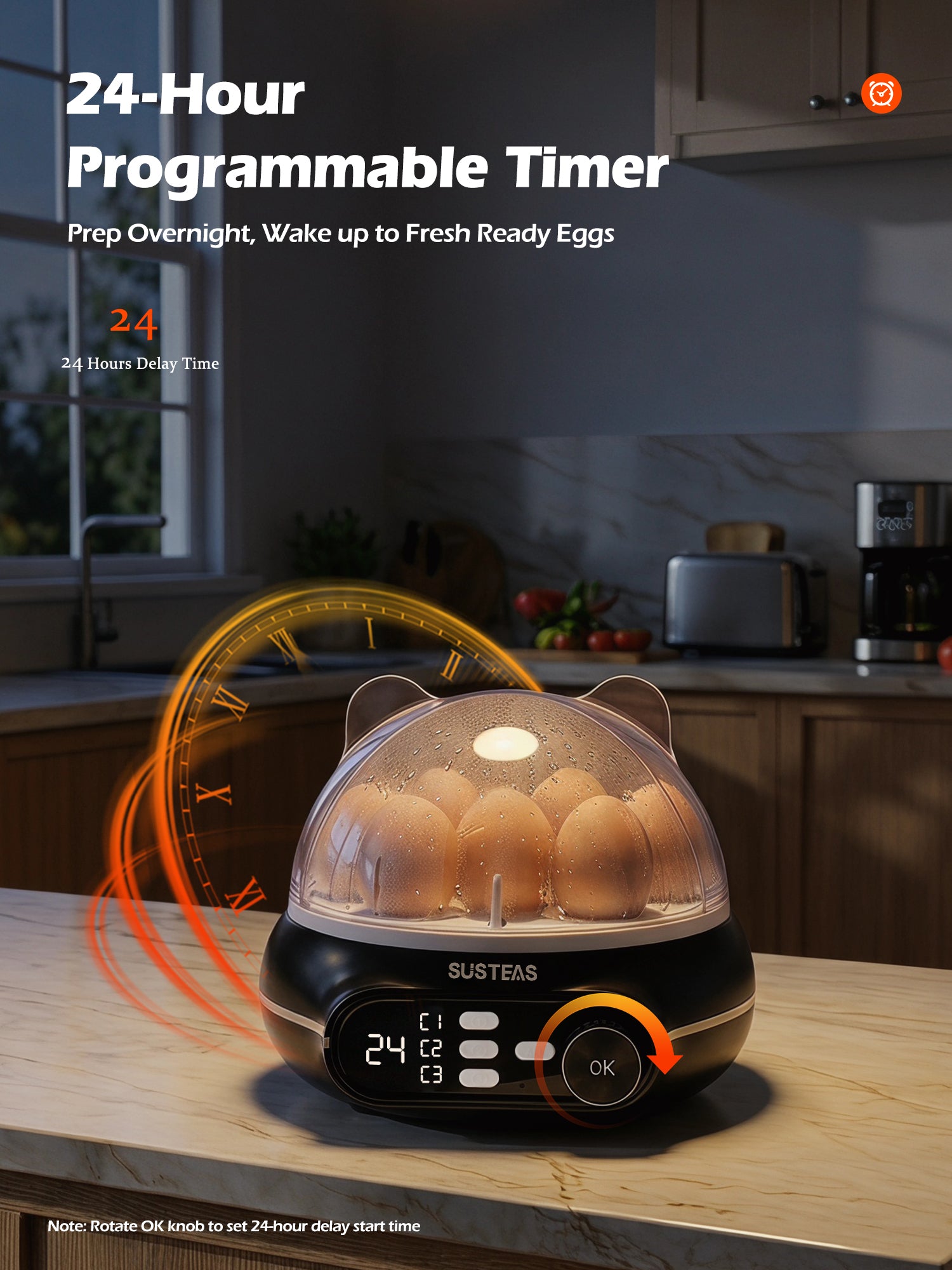 Rapid Egg Cooker 9 Eggs Capacity, Soft, Medium, Hard Boiled Egg Cooker ZD7000