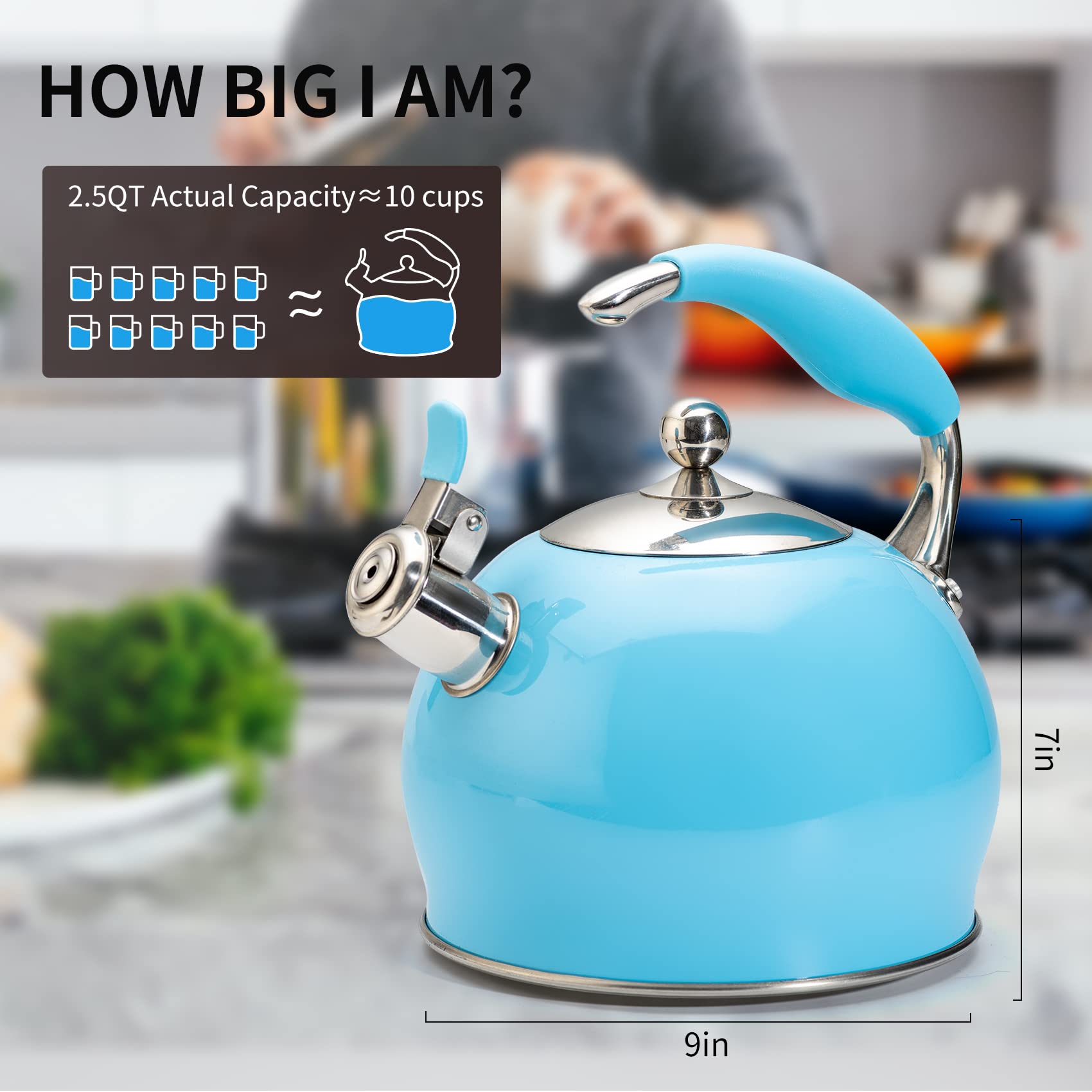 Modern Stainless Steel Whistling Teapot-Stove Top Teapot（Blue） – SUSTEAS