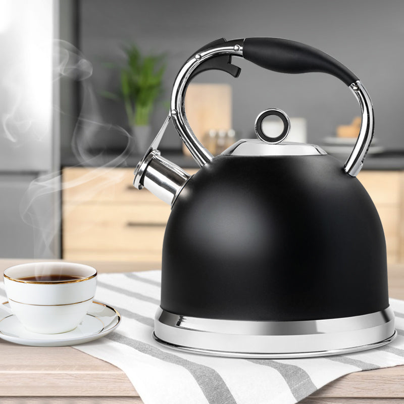 Induction Top Tea Kettle Hand Painted Stainless Steel Kettle the
