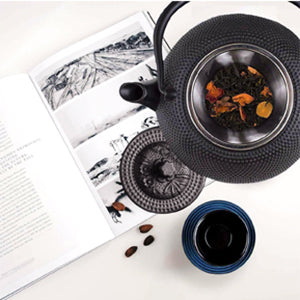 Japanese Tetsubin Tea Kettle Cast Iron Black Teapot with Stainless Steel Infuser (650ml)