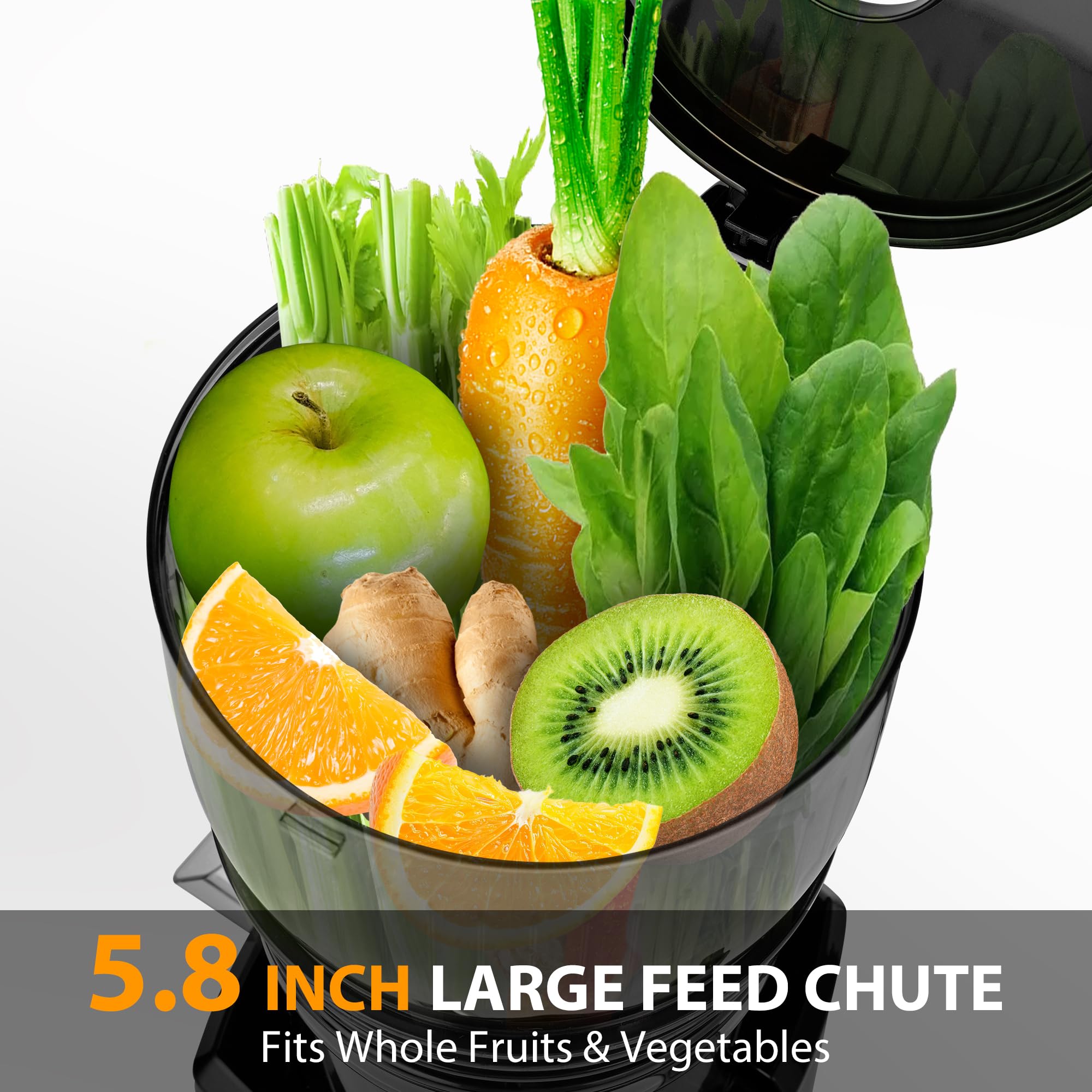 SUSTEAS Cold Press Juicer,Grey
