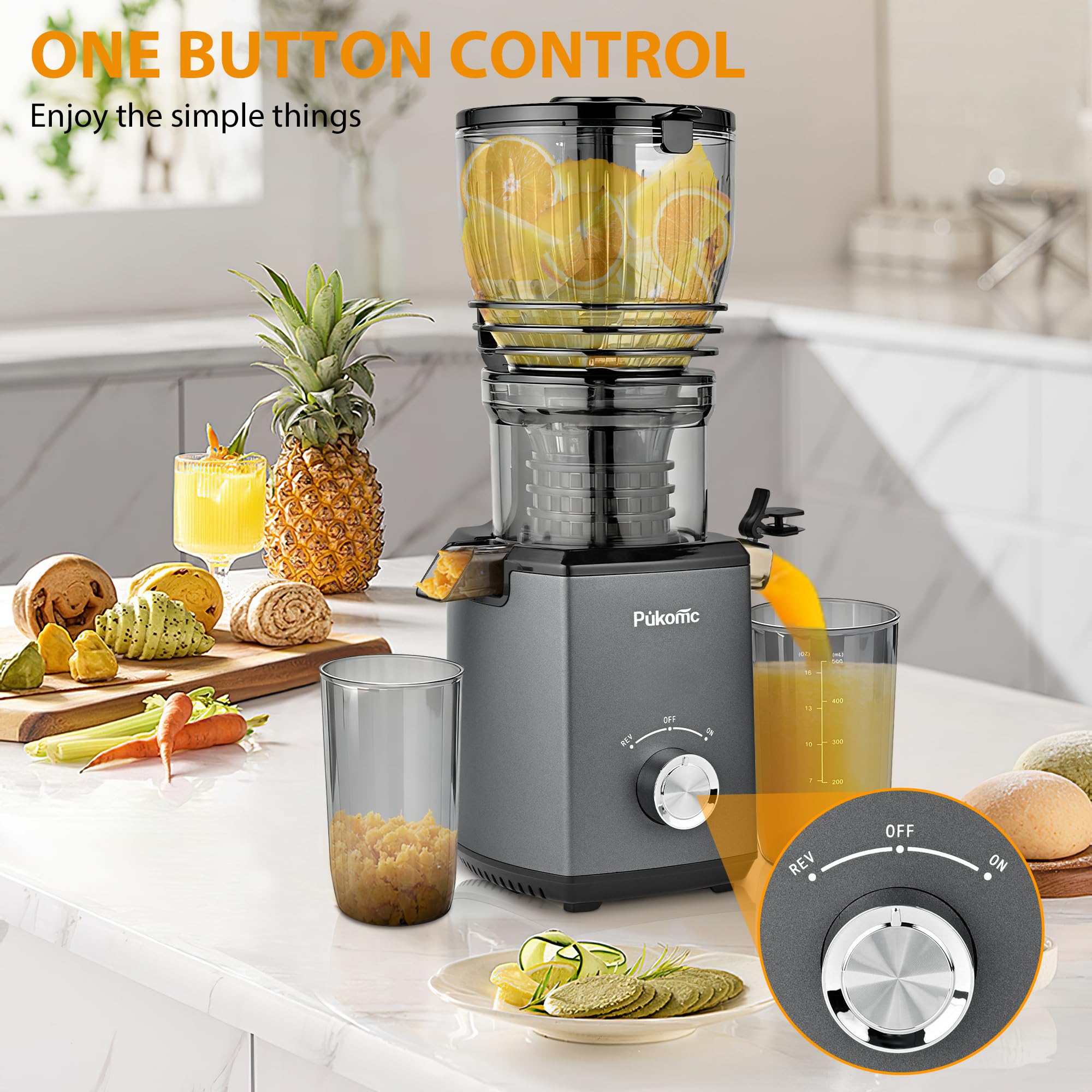 SUSTEAS Cold Press Juicer,Grey