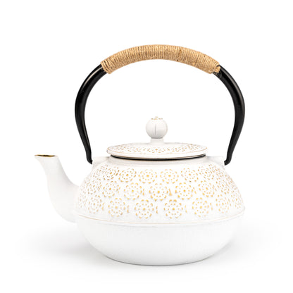 Japanese Southern Gongfu Cast Iron Teapot – Umi Tea Sets