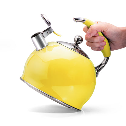 Modern Stainless Steel Whistling Teapot-Stove Top Teapot（Yellow）