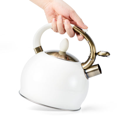 Modern Stainless Steel Surgical Whistling Teapot-Stove Top Teapot （White）