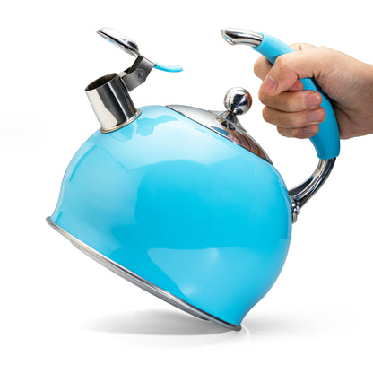 Modern Stainless Steel Whistling Teapot-Stove Top Teapot（Blue）