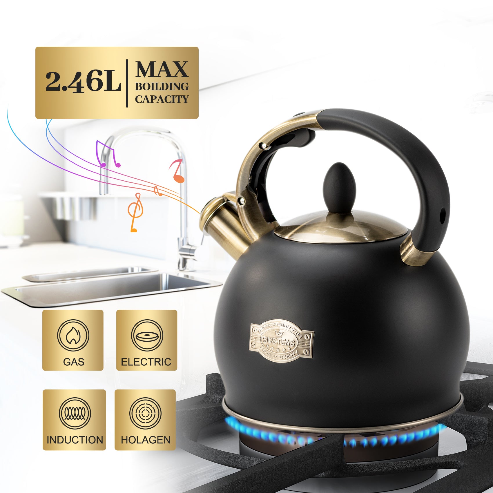 2.64 Quart Surgical Stainless Steel Stove Top Whistle Tea Kettle (Silv –  SUSTEAS