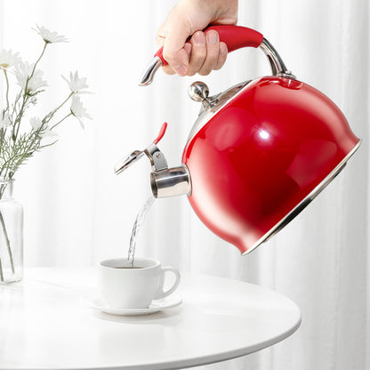 Modern Stainless Steel Whistling Teapot-Stove Top Teapot